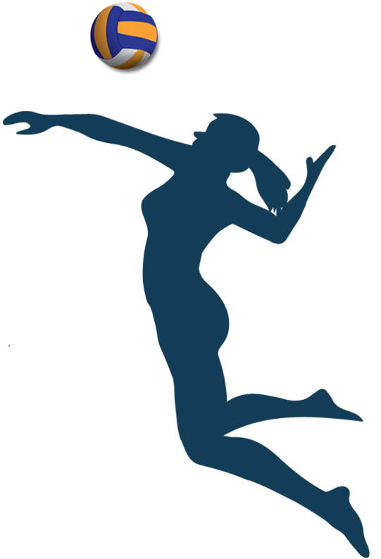 Volleyball player